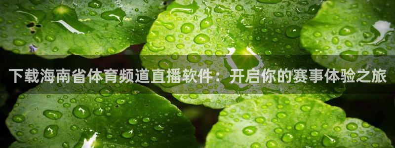山猫足球体育直播视频：下载海南省体育频道直播软件：开启你的赛事体验之旅