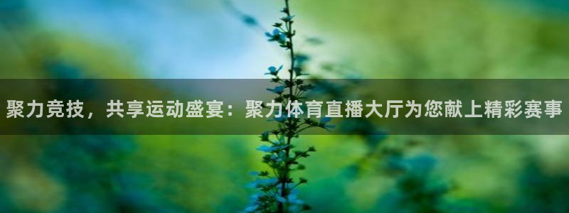 山猫篮球体育直播：聚力竞技，共享运动盛宴：聚力体育直播大厅为您献上精彩赛事