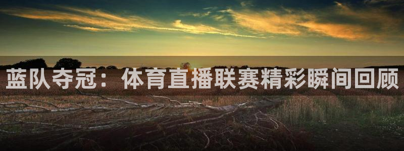 山猫直播官网版下载：蓝队夺冠：体育直播联赛精彩瞬间回顾