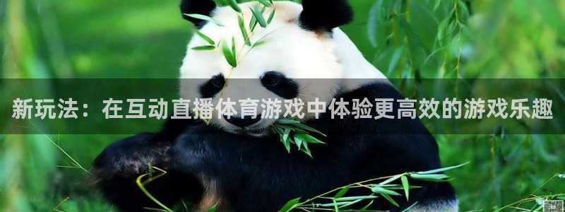 山猫直播体育免费直播：新玩法：在互动直播体育游戏中体验更高效的游戏乐趣