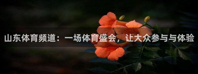 山猫体育免费赛事直播：山东体育频道：一场体育盛会，让大众参与与体验