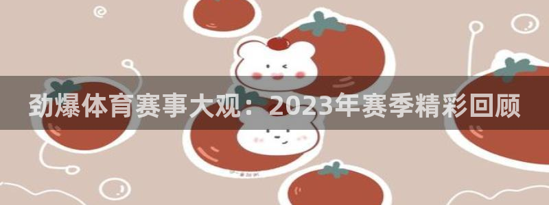 山猫直播足球：劲爆体育赛事大观：2023年赛季精彩回顾