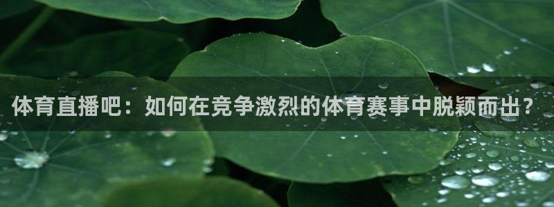 山猫体育免费直播新年送好礼.直达通道.org：体育直播吧：如何在竞争激烈的体育赛事中脱颖而出？
