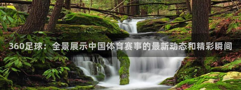 山猫直播在线直播