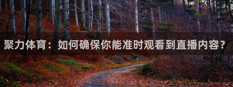 山猫直播足球：聚力体育：如何确保你能准时观看到直播内容？