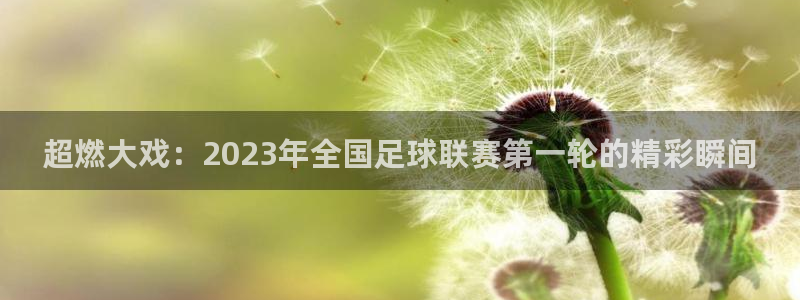 山猫乐球足球直播：超燃大戏：2023年全国足球联赛第一轮的精彩瞬间