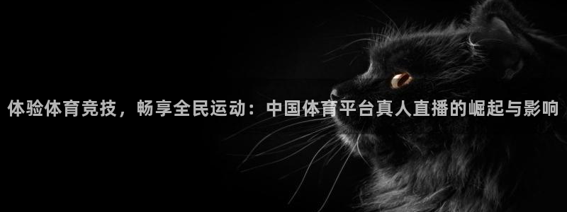 山猫体育直播在线：体验体育竞技，畅享全民运动：中国体育平台真人直播的崛起与影响